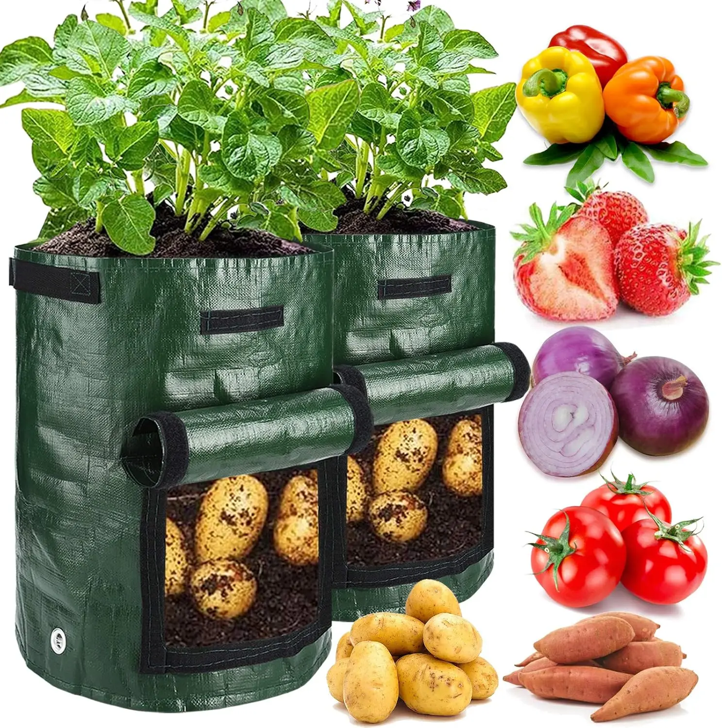 2-Bag Potato Set, 10gal Heavy-Duty PE Fabric Green Planter Bags - 17.7" Tall, 13.8" Wide Pots with Flap Window, Side Handles, Ventilation Holes, Drainage Holes, Durable for Seasonal Use, Easy to Move for Outdoor Vegetable Plants