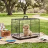 Sweetcrispy Iron Foldable Lockable Gate Dog Crate for Small Dogs & Puppies - Durable Metal Construction Kennel, Single-Door, Open Grid Design, Smoothedge Safety, Removable Tray for Easy Cleaning, Fold-Flat Portable for Training & Travel