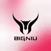 BIGNIU EBIKE shop logo
