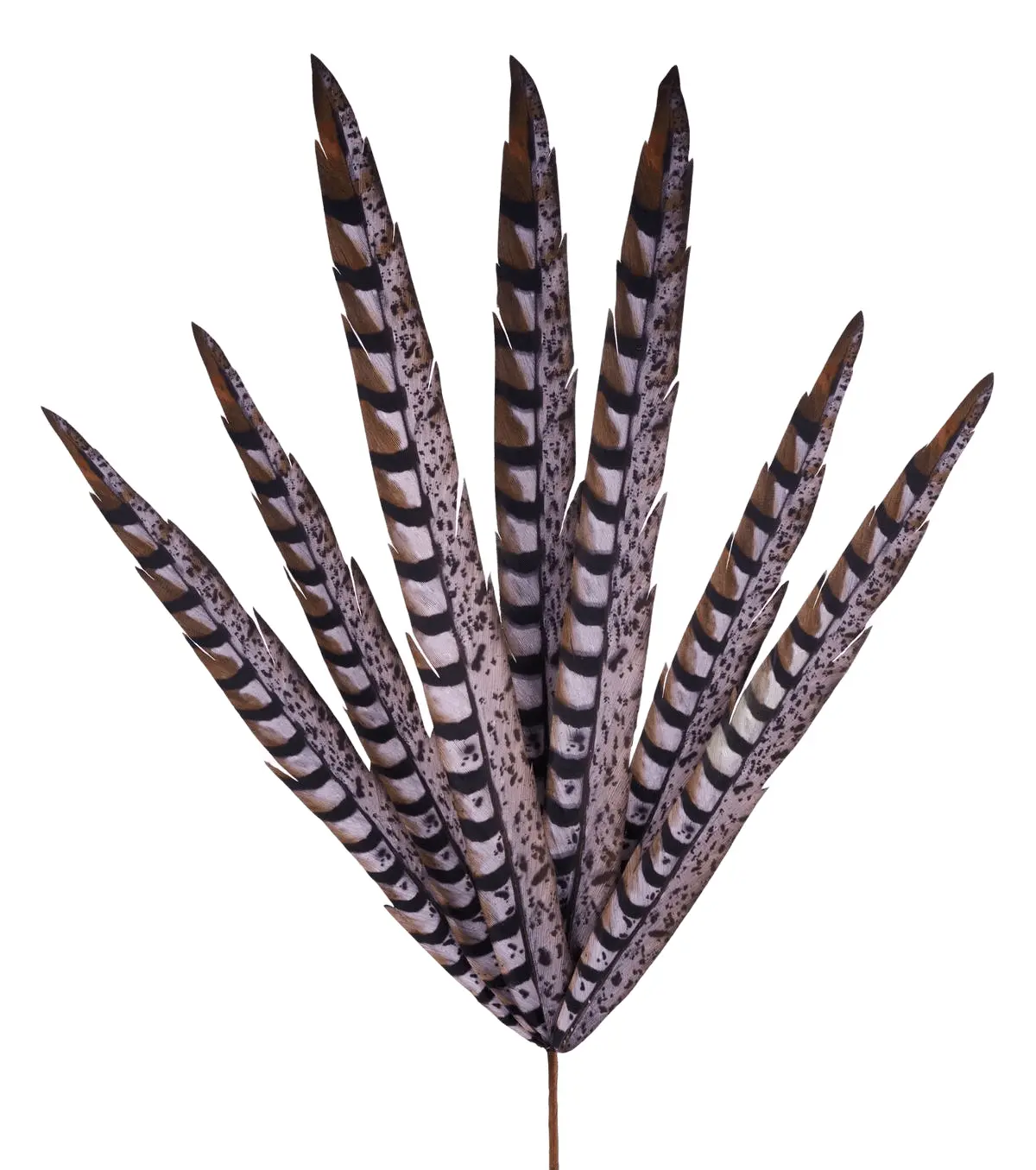 33"L Faux Pheasant Feather Spray X7 Grey/Black/Brown MJ0345H1