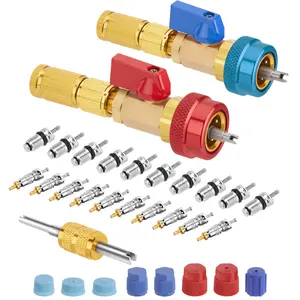 31PCS R134A Quick Remover Installer Tool Set - Upgraded Core, AC High-Low Pressure Service Port Cap, Stem for Automotive Refrigerant Air Conditioner Systems