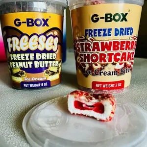 G-BOX Freeze Dried Ice Cream | Crunch Strawberry Shortcake Ice Cream Bites - Chocolate Eclair Ice Cream Bites - Perfect for Camping, Outdoor, and Party - Air-tight Sealed in a Deli Container