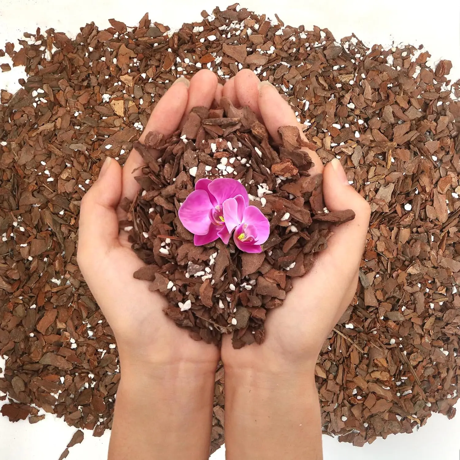 Orchid Bark Potting Mix - 3QT  Orchid Potting Mix for Repotting, Blended with Small Pine Bark and Perlite to Provide Ideal Ventilation and Good Drainage for Orchids and Other Potted