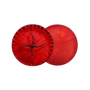 ARAW American Shamanic Native Drum Bison Natural Hide, Bodhran Drum