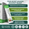 Nature's Sunshine Chlorophyll Stick Packs: Crisp Apple. Gut Health Hero- Detox, Reduce Bloat, Clear Skin, Support Digestion, Boost Energy Healthcare