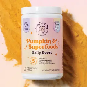 Pumpkin & Superfoods Daily Boost Powder