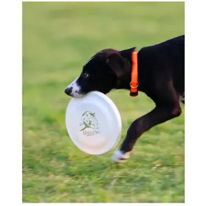 Standard Frisbee, Puppy Training Frisbee, Dog Professional Competition Disc, Pet Supplies