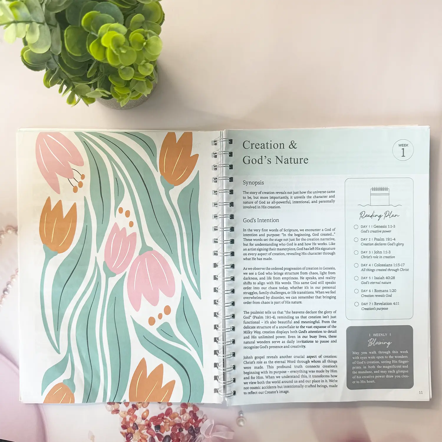 The Bible in One Year: 52-Week Study, Daily Prayer and Notes Set,Spiritual Joumey Cift for Men and Women, Faith-inspiring Bible Journal,Workbook Jouma