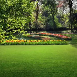 Creeping  Lawn Grass Seeds, 3000