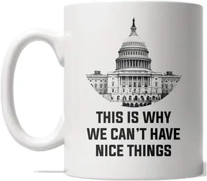 This Is Why We Cant Have Nice Things Mug Funny Sarcastic Politics Graphic Coffee Cup - 11oz Funny Coffee Mugs Ceramic Printed Drinkware Cup