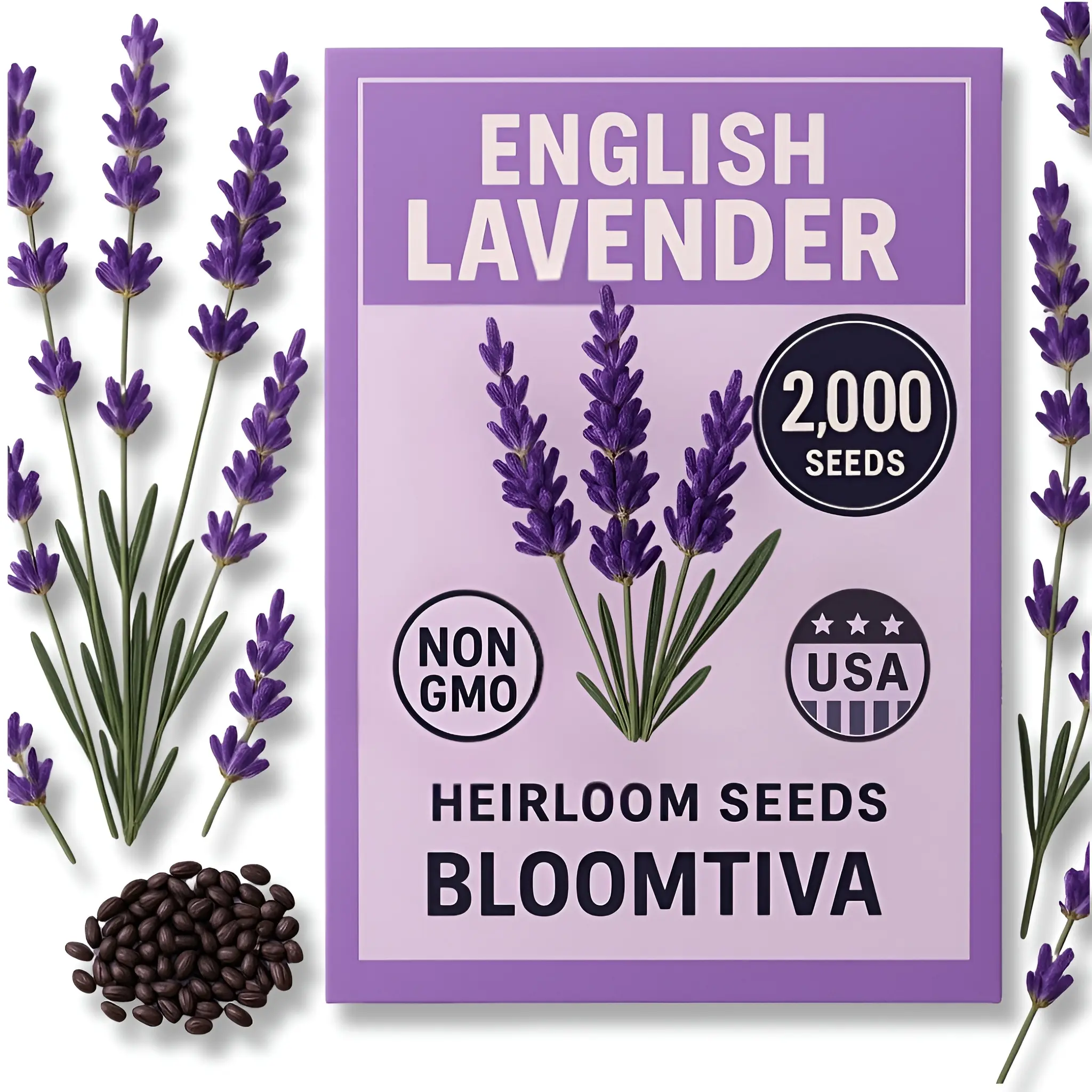 Premium English Lavender Seeds – 2,000 Non-GMO, USA-Grown Herb Seeds for Indoor & Outdoor Planting – High Germination Wildflower (Lavandula angustifolia)