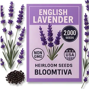 Premium English Lavender Seeds – 2,000 Non-GMO, USA-Grown Herb Seeds for Indoor & Outdoor Planting – High Germination Wildflower (Lavandula angustifolia)
