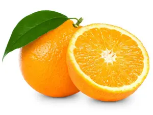 Valencia Orange Tree, Orange Grafted Tree 2-3 Ft Tall In Pot, Orange Live Plant, Citrus Tree, Orange Fruit Tree, Fruit Tropical Live Tree for Planting