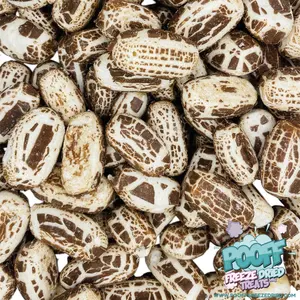 Freeze Dried Vanilla Chocolate Pooff Chew
