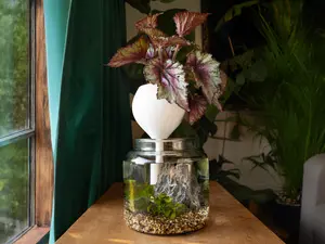 Large Self-Watering Planter – Drop-In Wicking Pot Up to a Month | Mossari