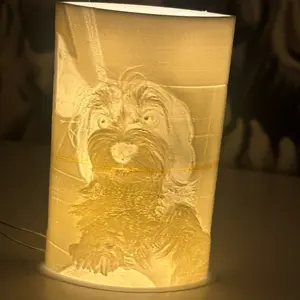 3D printed Image