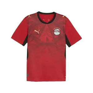 PUMA Mens Egypt Home Crew Neck Short Sleeve Jersey Casual - Red