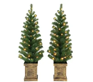 Puleo Set of 2, 3.5' B/O Potted Prelit Trees, 90 Tips