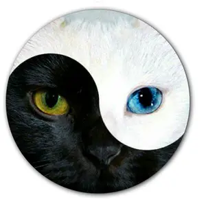 DJ Kitty Cat Ying Yang #2 Vinyl Memorabilia 7" inch Slip Mat Portablism Turntable Slipmat DJ Platter Pad