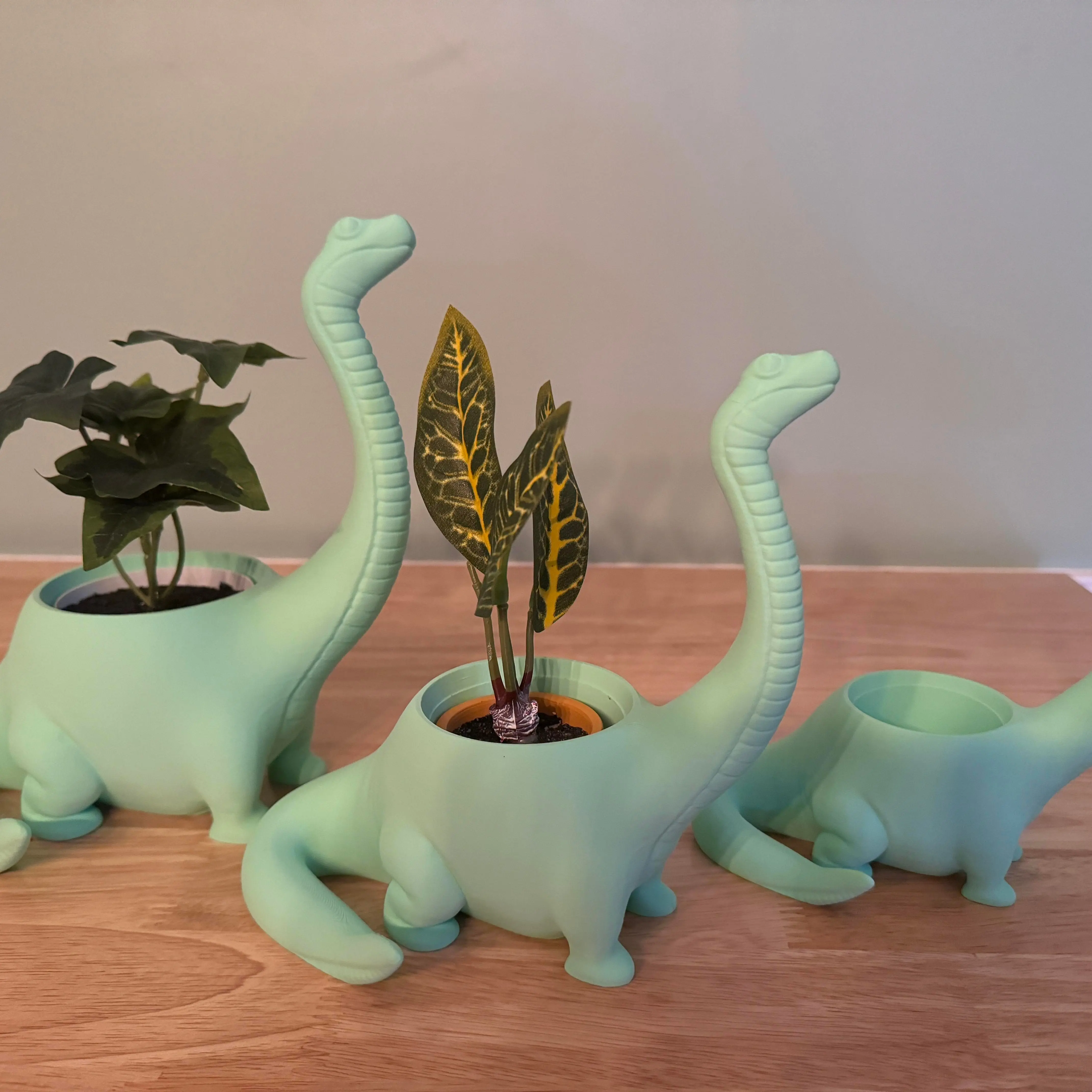 Colorful Dinosaur Planter Cute Adorable Herbivore Dinosaur Planter. Multiple Sizes and colors!