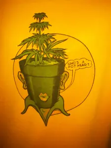 Who's A POT HEAD T-Shirt Casual Crew Neck