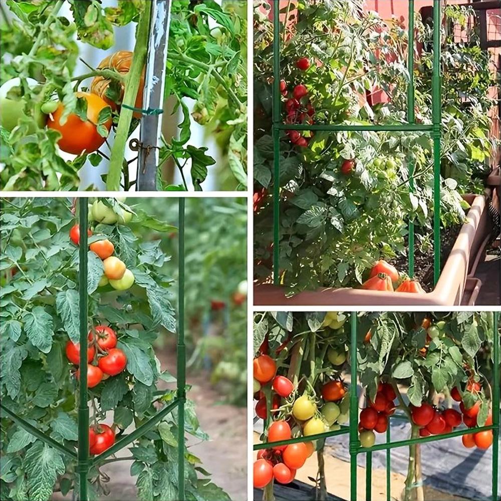 Tomato Cages for Garden, 2 Sizes (82cm/120cm) Tall Plant Support Trellis for Potted Tomatoes, Heavy Duty Sturdy Vegetable Cages for Climbing Plants, Cucumber, Pepper, Vine Flowers, Perfect for Patio Balcony Garden