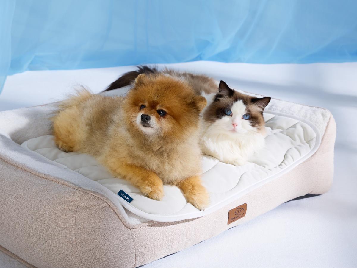 Bedsure Cooling Thin & Thick Mat for Dogs – Q-MAX>0.4 Washable Pet Cooling Pad, No Gel, No Electric, Non-Slip Summer Crate Bed for Large Dogs