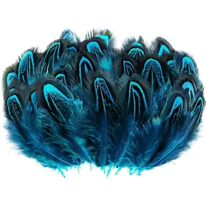 100pcs Turquoise Blue Pheasant Feathers 2-3Inches for Crafting Dream Catchers Decoration