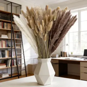 Dried Pampas Grass for Sale | 100 Pcs Complete Set