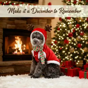 Christmas Reindeer Costume for Dogs & Cats – Soft Plush Santa Outfit with Antler Hood and Striped Scarf | Warm Holiday Pet Clothes for Winter & Photoshoots