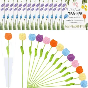 Blulu 15 Set Teacher Appreciation Gifts Crochet Flower Tulip Bouquet Paraprofessional Appreciation Gifts Bulk with Thank You Cards Best Teacher Ever from Student Graduation End of Year