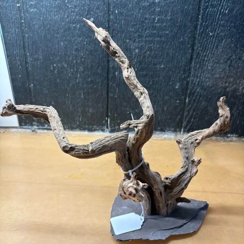 Mopani Driftwood (14x10x13) - Natural Aquarium Decor, Reptile Habitat Enrichment Accessory