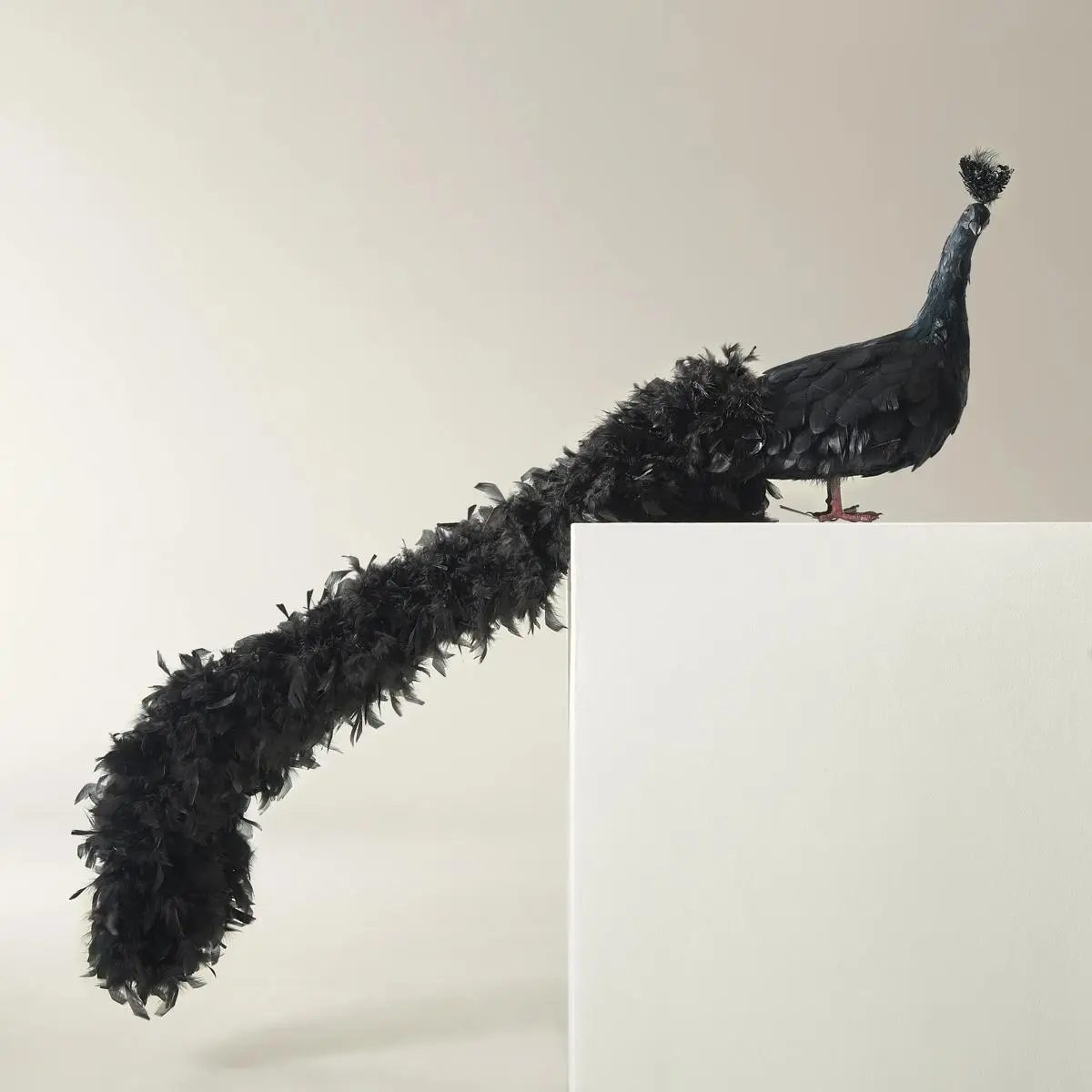 Z Gallerie Black Fancy Peacock 60in Ornament - Modern Living Room Accessories, Festive House Decor, Decorations and Ornaments
