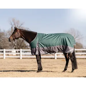 Professional's Choice 1200D Turnout Winter Blanket- Emerald