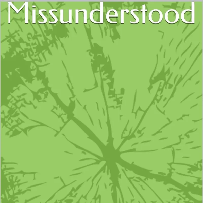 Misunderstood: Heart of an Empath https://a.co/d/bFXAcTb