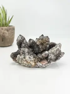 Raw Spirit Quartz Crystal - Natural Energy Amplifier & Decor for Home