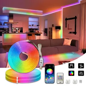 Smart Color Changing Neon Light Strip, USB Plug, Remote/APP Control, Multiple Modes, Music Sync, DIY Shape, Living Room, Party Decor, LED Strip Lights