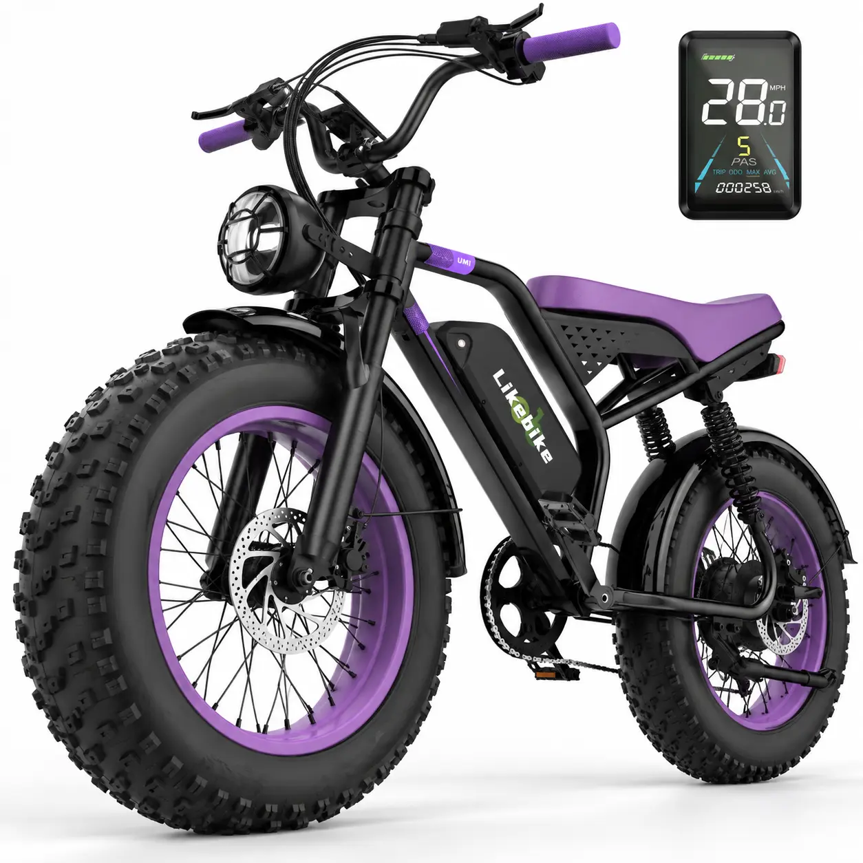 Adult 1500W Peak Power Ebikes, 48V 20Ah Fat Tire Electric Bike - 28MPH High Speed, 65Mile Range Battery, 20"x4.0 All-Terrain Tires, Full Suspension, Hydraulic Disc Brakes, LCD Screen