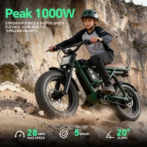 Electric Bike,Equipped withHigh Carbon Steel Frame, Full SuspensionSystem,28mph Top Speed,48V 1000W, PedalAssist Range of 30-70 Miles,16-lnch All-TerrainTires,Off-Road Motorcycle. Ebike cool and stylish