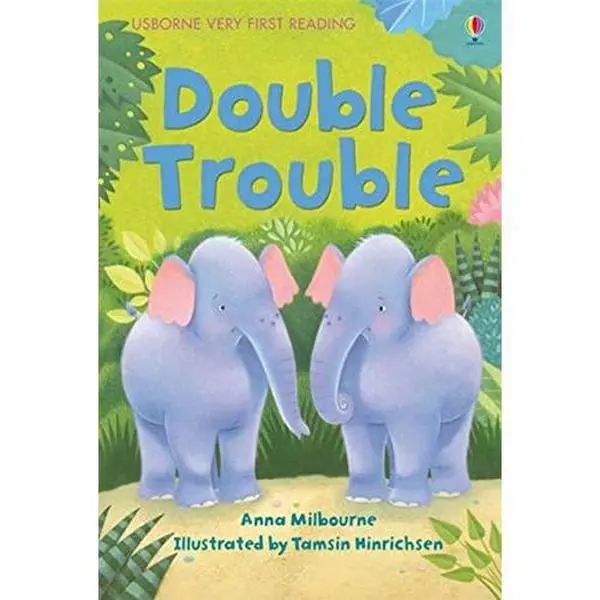 USED Book - VFR DOUBLE TROUBLE by Usborne (Paperback)