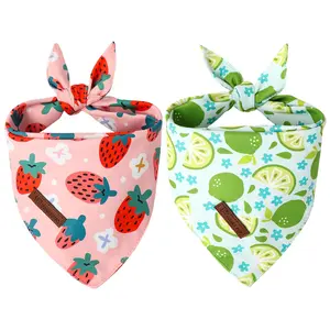 2-Pack Dog Bandanas — Strawberry & Lime Cotton Adjustable Triangle Bibs for Small to Large Dogs