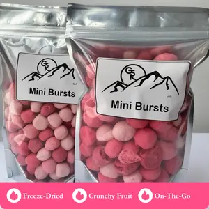 Mini Bursts Freeze Dried Crunchy Candy - Sweet Fruit Snack for On-the-Go Treats in Convenient Packaging