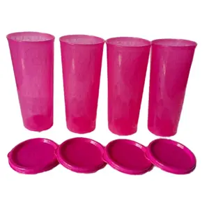 Pink Color Tumblers - Purple Plastic Beverage Containers with Lids - Bottle, Drinkware