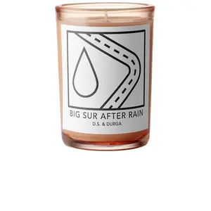 D.S. & DURGA Big Sur After Rain Candle