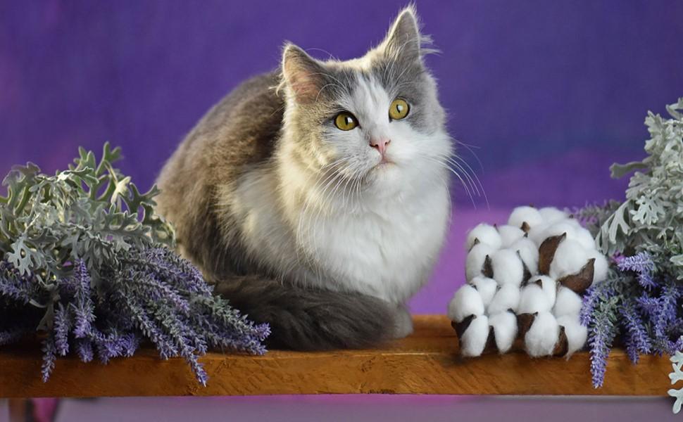 10 Bundles Artificial Lavender Fake Flowers Faux UV Resistant Plastic Plants for Home Wedding Kitchen Garden Patio Window Box Office Table Centerpieces Indoor Outdoor Decor #GLOBAL PICKS