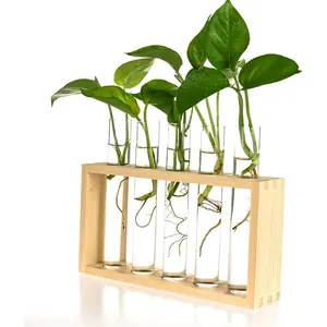 Wall Hanging Glass Planter Propagation Station Test Tube Vase Flower Pots in Vintage Wood Stand Rack with 5 Tabletop Terrarium Windowsill Accessory, Wedding, Kitchen (5 Test Tube, Burlywood)