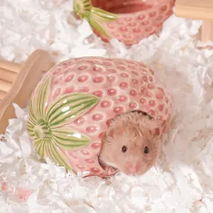 Ceramic Hamster Hideout, Strawberry Hamster House and Habitat, Syrian Hamster Hideout Decor Cool Bed for All Season Gerbil, Mice Guinea Pig Small Animal Ceramic Hideout Hut