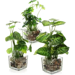 Set of 3  , Small Artificial Potted  Indoor in Clear Glass Pot, 9.5 Inch Faux  for  Decor