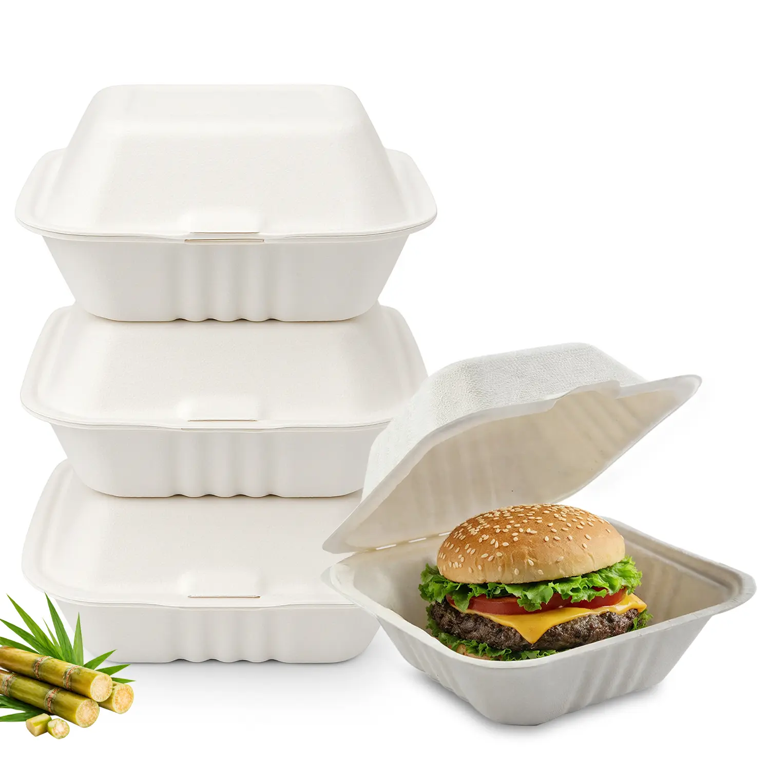 FPN Compostable Plant-Pack Clamshell Takeout Boxes - Heavy-Duty Solid Business To Go Containers, Biodegradable Disposable Heat-Resistant Microwave-Safe Lunch Boxes for Restaurants, Meal Prep