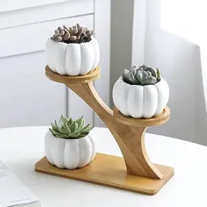 Ceramic Pumpkin Succulent Planter · 3-Tier Bamboo Stand